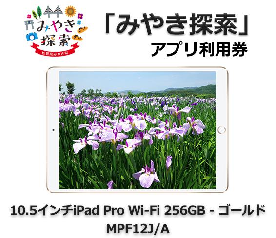 0.5インチiPad Pro Wi-Fi 256GB - ゴールド MPF12J/A