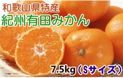 【厳選・産直】紀州有田みかん7.5kg（Sサイズ・赤秀）