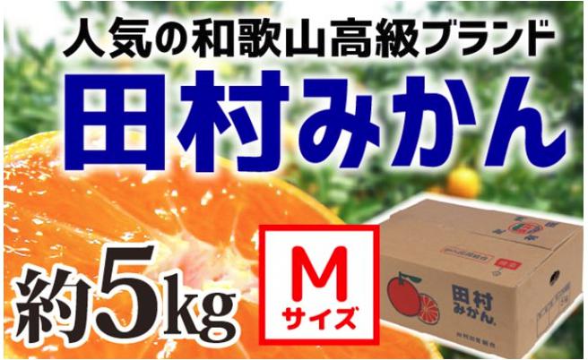 【和歌山ブランド】人気の田村みかん 5kg（Mサイズ）