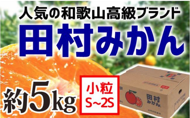【和歌山ブランド】人気の田村みかん5kg（2S・3S）
