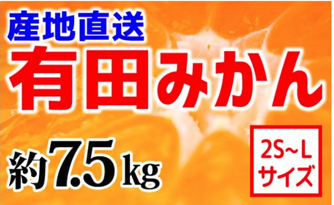 【産地直送】有田みかん 約7.5kg（2S～L）