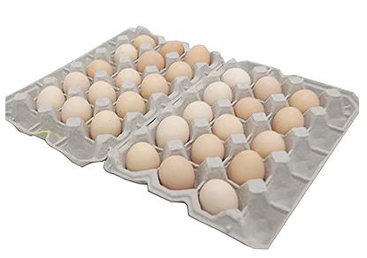 【地元ブランド】大分うこっけい卵30個