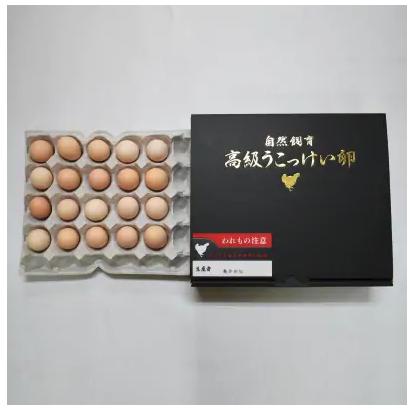 熊本県宇城市うこっけい卵20個 