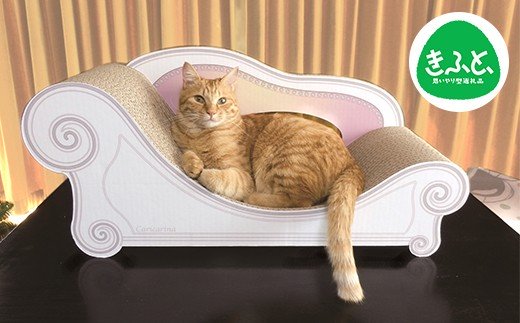 【ふるさと納税】ふるさと納税で猫グッズをGET&猫の保護!!