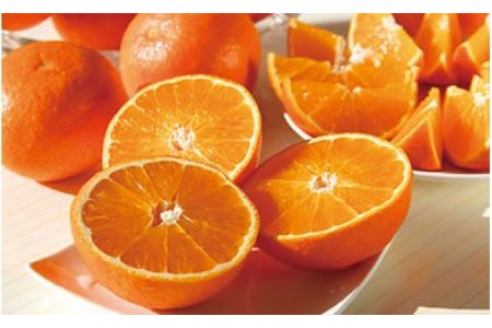 【ふるさと納税】冬といえばこたつにみかん!?おすすめのみかん特集10選